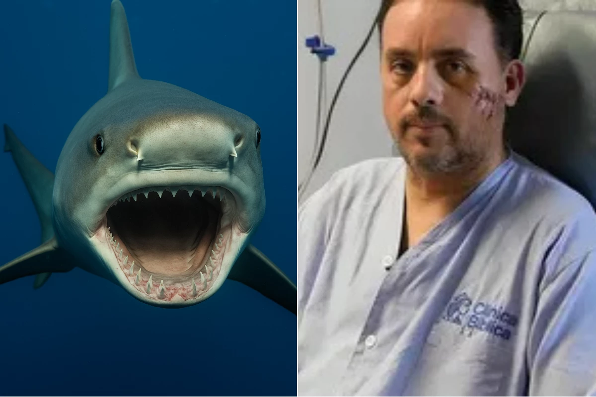 Milagre nas águas: homem sobrevive após ataque brutal de tubarão a 40 metros de profundidade