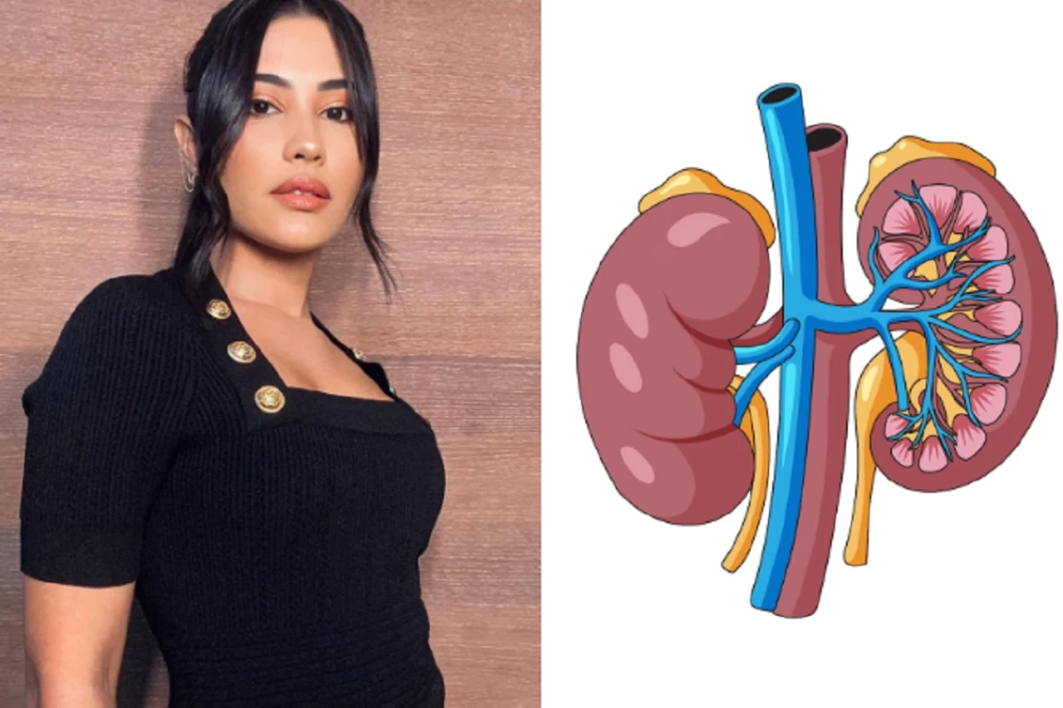 Pielonefrite: o que é, sintomas, tratamento e fatores de risco da infecção que levou Thaynara OG ao hospital