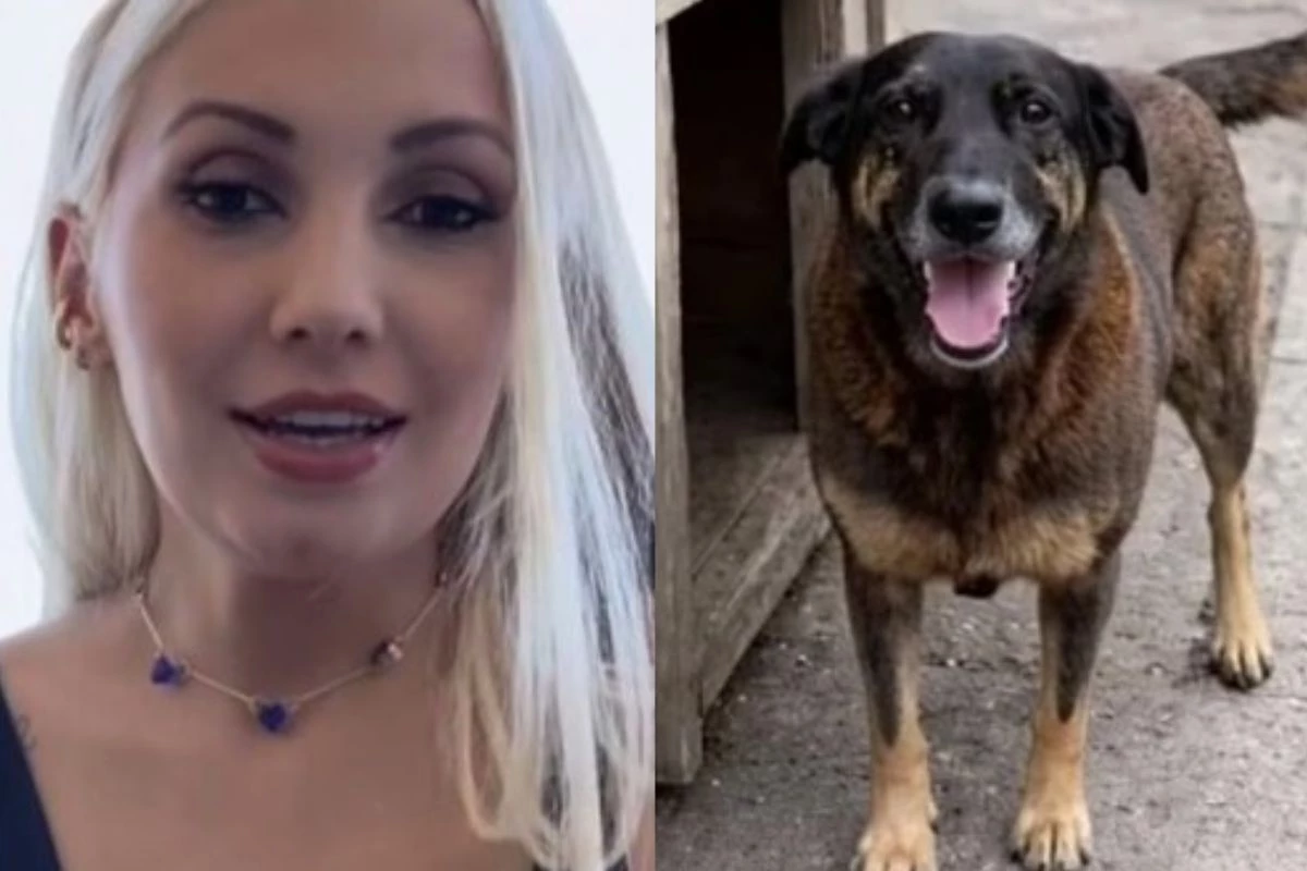 Vidente conta o que pode acontecer com pessoas do caso Orelha, e faz grave apontamento: ‘Acostumadas…’