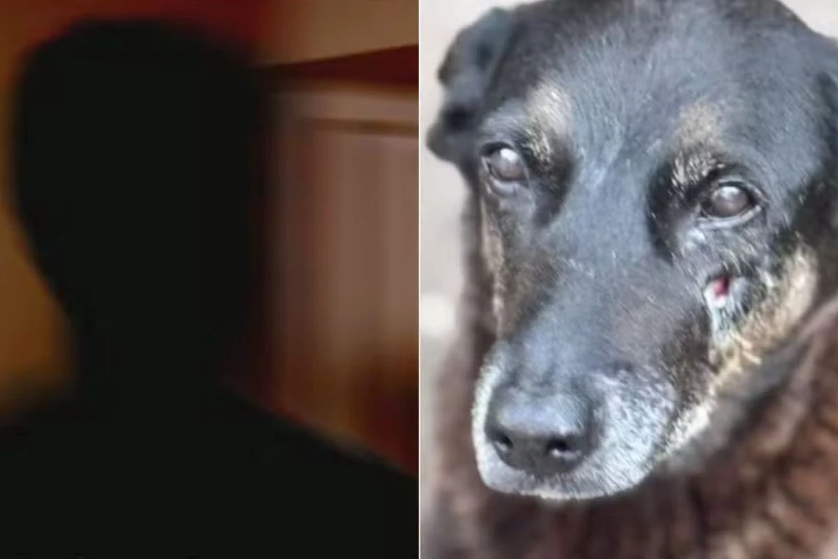 Adolescente e sob efeito de drogas: polícia chega mais perto do suspeito do crime contra Orelha